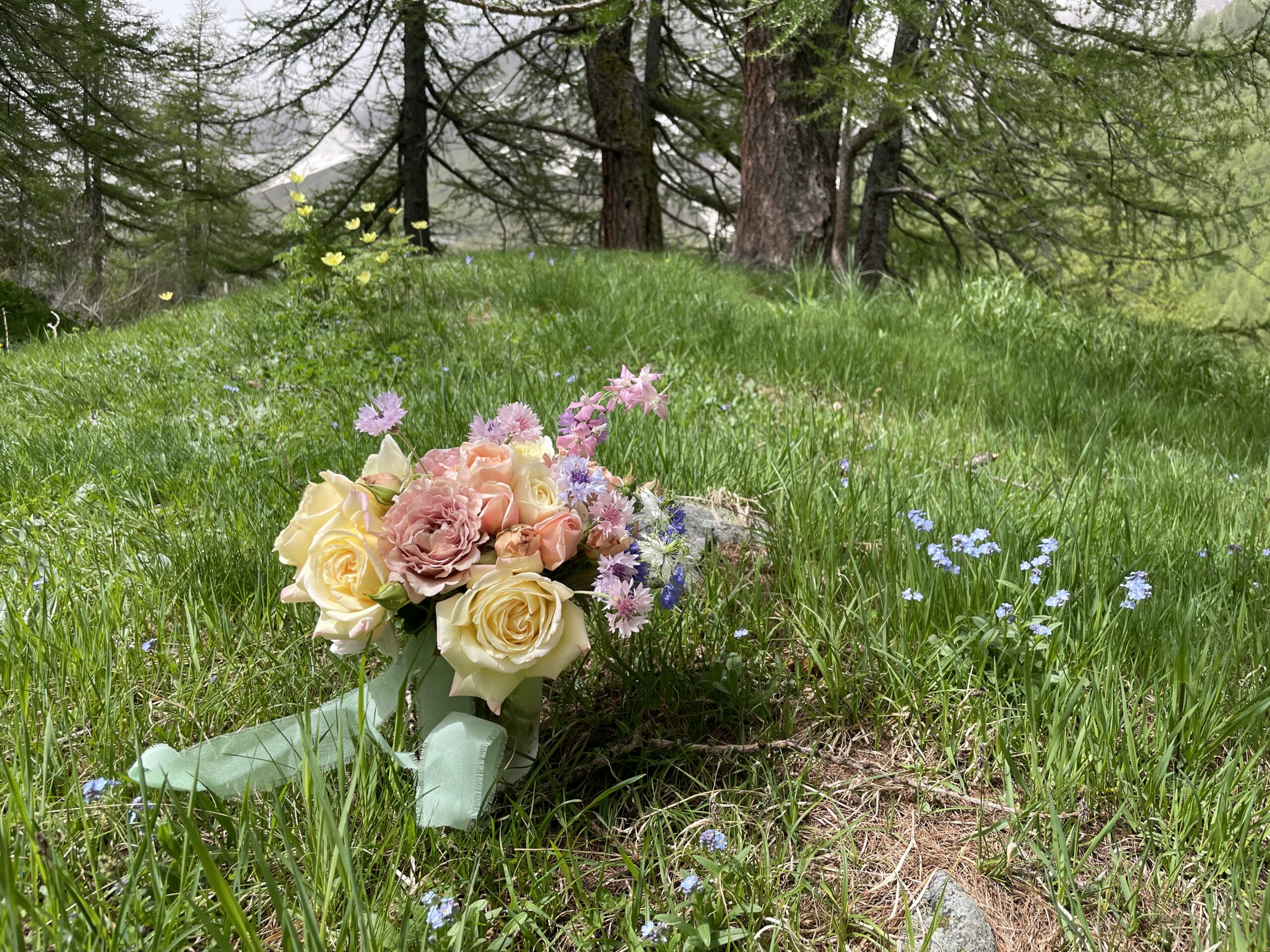 Matrimonio in montagna